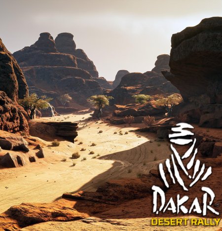 Dakar desert rall