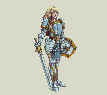 Паладин рыцарь