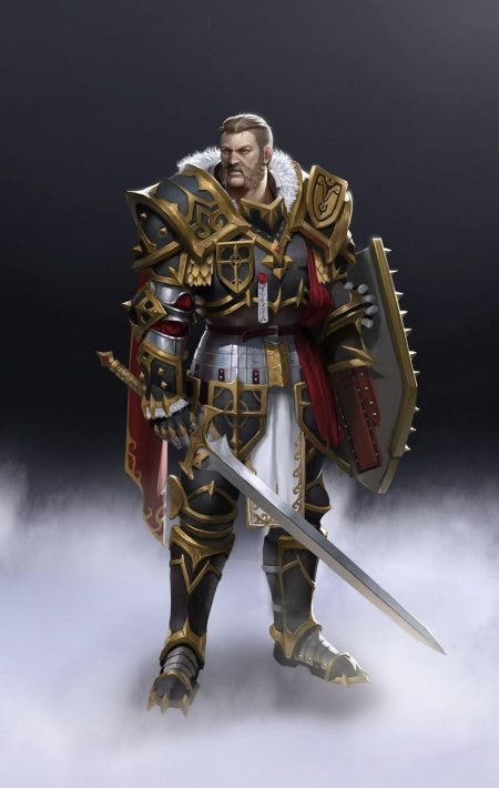 Паладин фэнтези