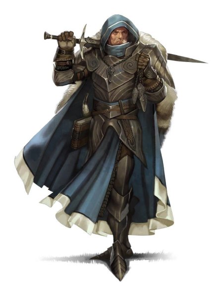 Полуэльф паладин