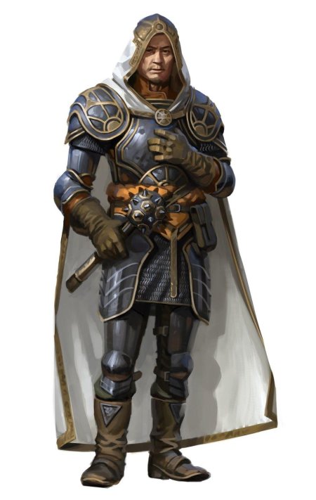 Паладин днд