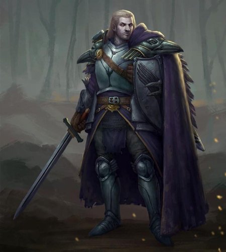 Эльф паладин днд