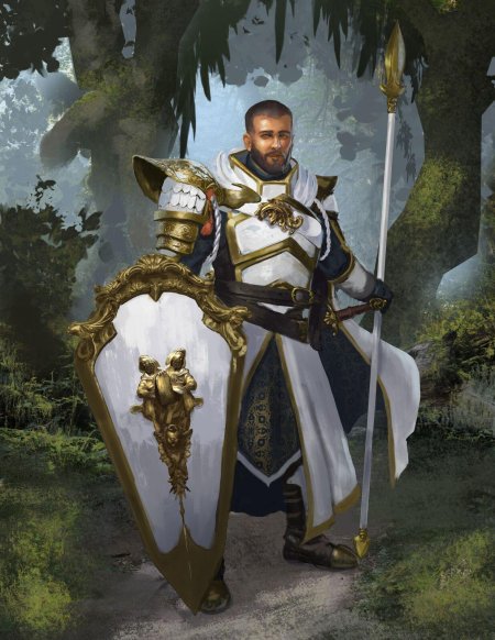 Святой рыцарь паладин