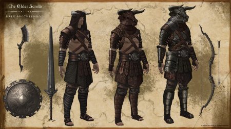 Teso elder scrolls концепт-арт