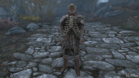 Скайрим nordic armor