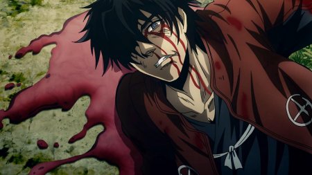 Аниме скитальцы 1 сезон