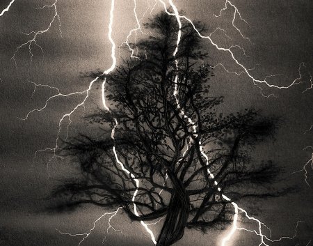 Молния в дерево