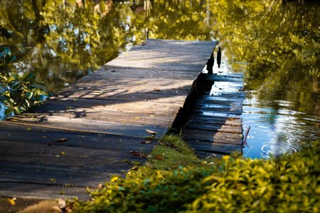 Мостки на реке