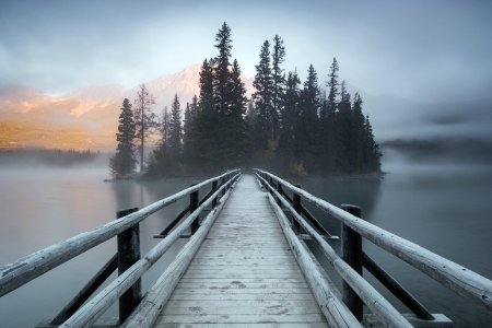 Мост в тумане