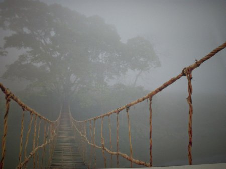 Мост в тумане