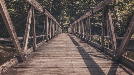 Деревянные мосты