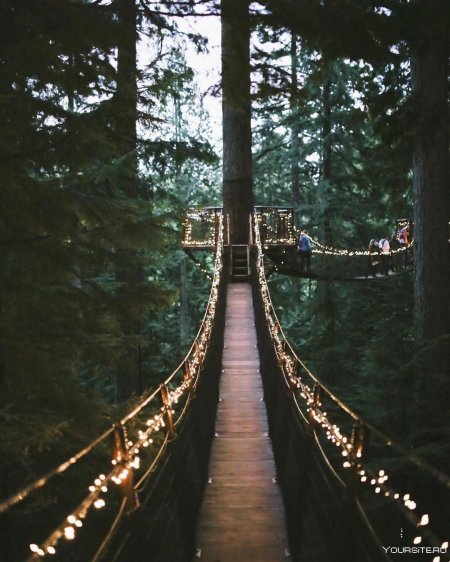 Capilano suspension bridge park