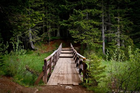 Тропа уильяма валласа