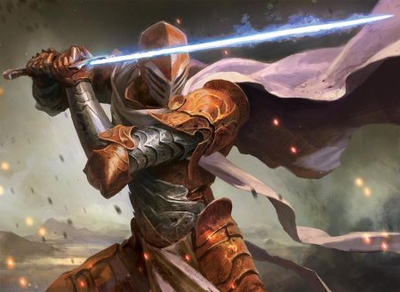 Рыцарь маг паладин