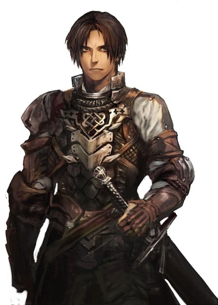 Принц полуэльф плут