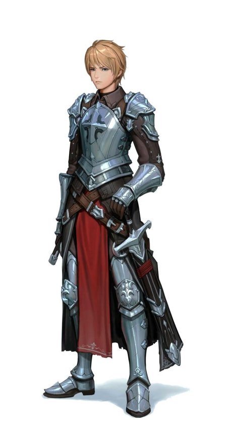 Паладин рыцарь