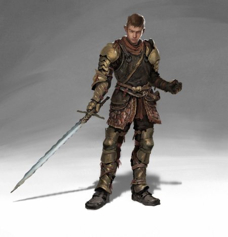 Рыцарь паладин