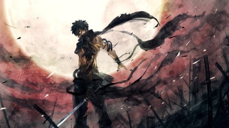 Аниме король мечников