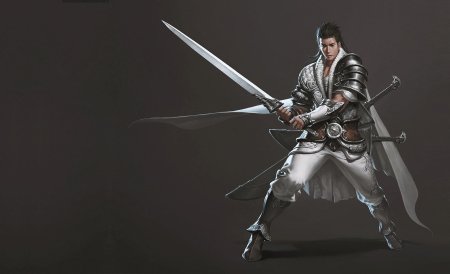 Мечники геншин