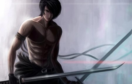 Аниме король мечников