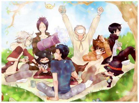 Аниме пикник