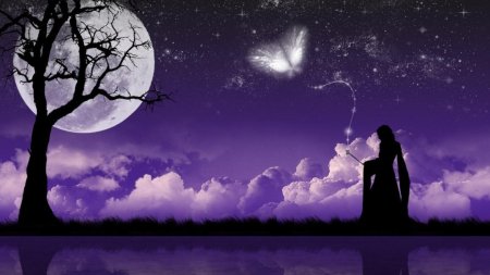 Лунная ночь