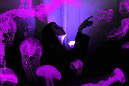 Фиолетовая эстетика