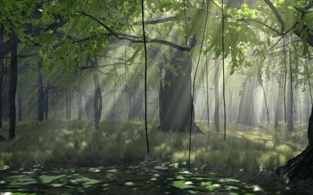 Мрачный пейзаж