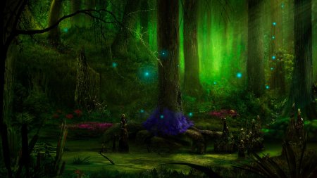 Магический лес