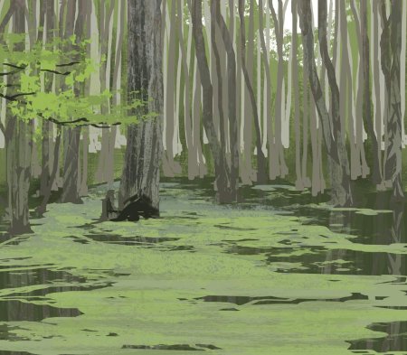 Пейзажи лес