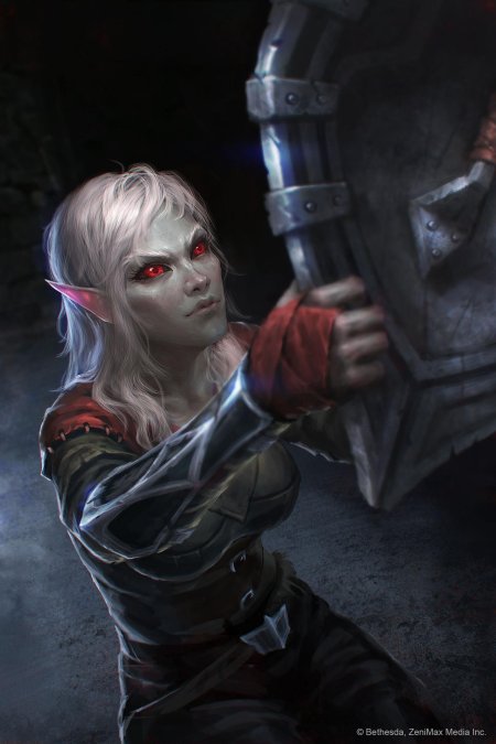 The elder scrolls темная эльфийка