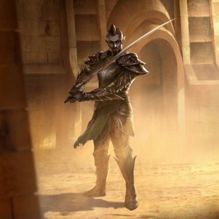 The elder scrolls legends данмер