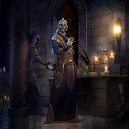 The elder scrolls legends данмер