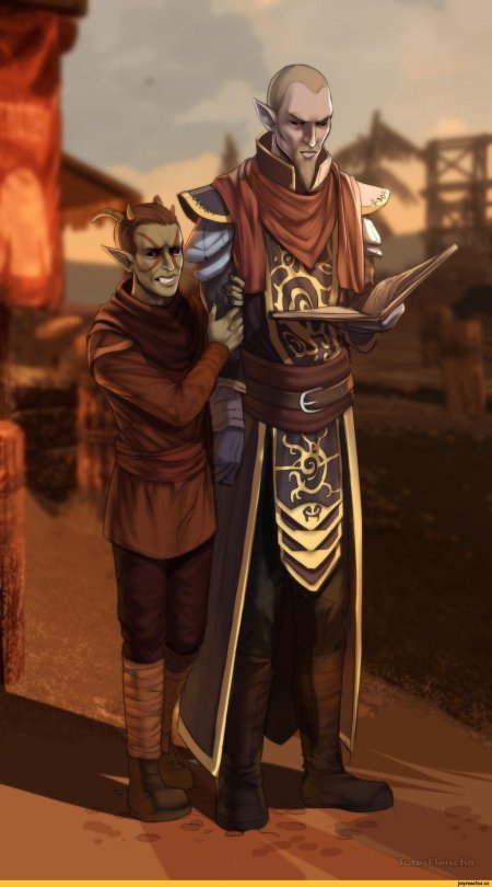 Данмер нелот