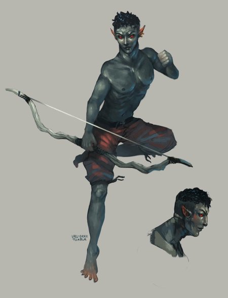 Данмеры и аргониане