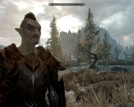 Skyrim данмер