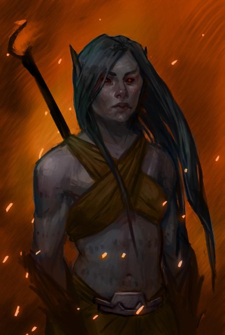 Полукровка норд данмер