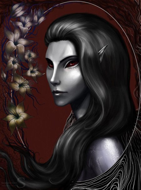 Темный эльф данмер