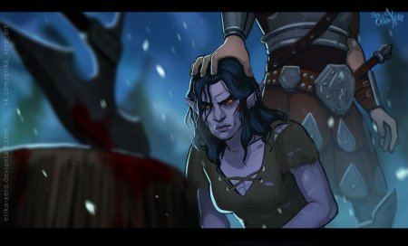 Скайрим довакин данмер