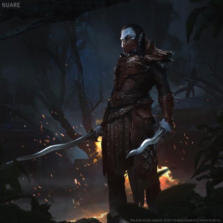 The elder scrolls legends данмер