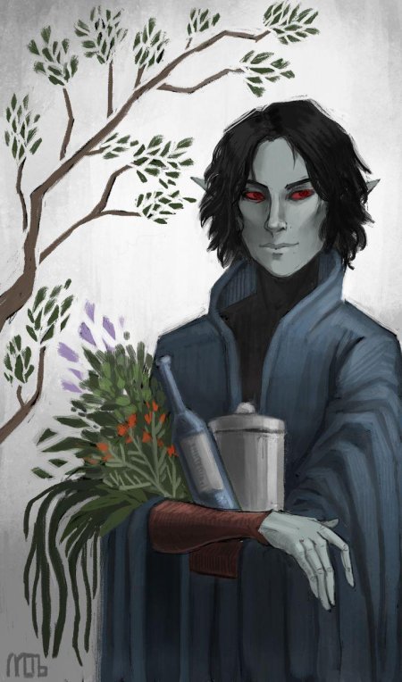 Скайрим данмеры арт