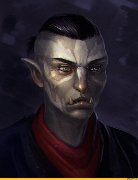 Темные эльфы данмеры