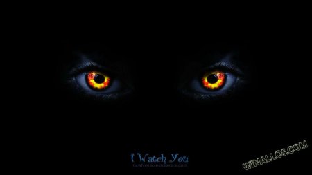 Глаза в темноте