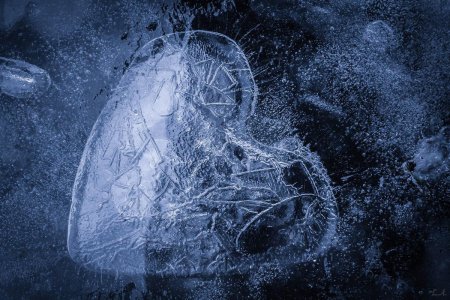 Сердце во льду