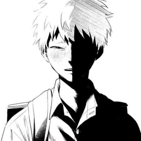 Hikaru ga shinda natsu