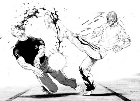 Манга боевые искусства шамо