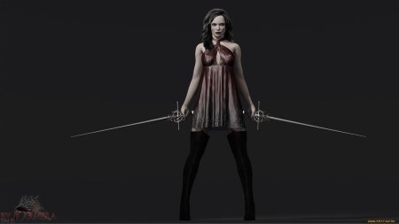 Девушка с мечами