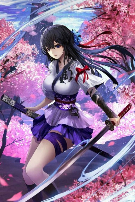 Фейт мечница