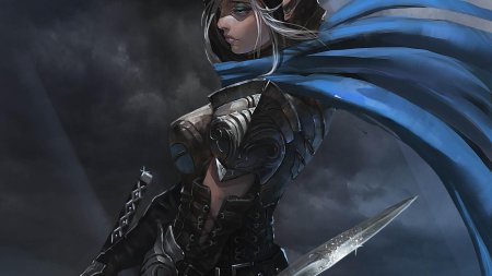 Эльфийка воин с кинжалом