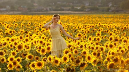 Подсолнух девушка